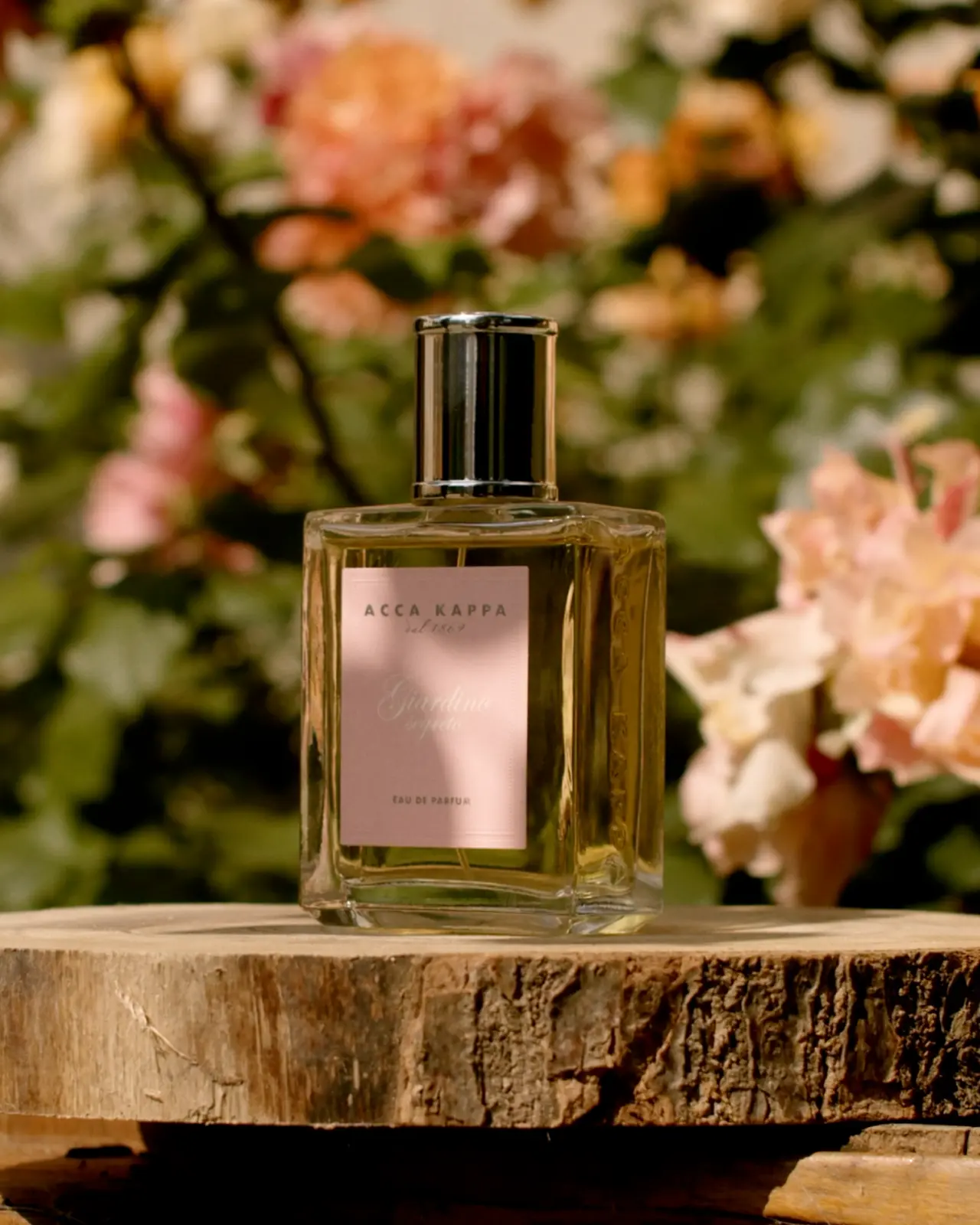 Perfumes